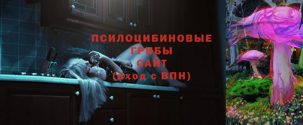 МДПВ Абаза