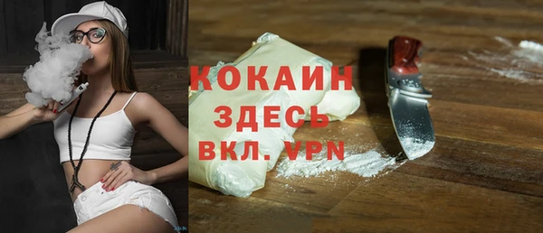 тгк Саки