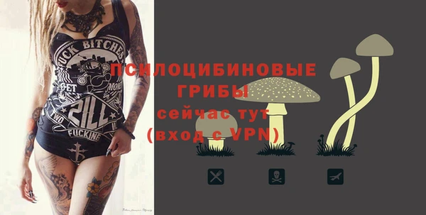 2c-b Абдулино