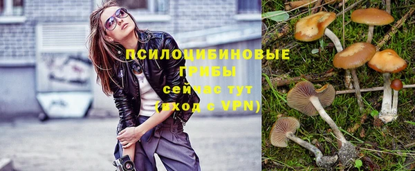 МДПВ Абаза