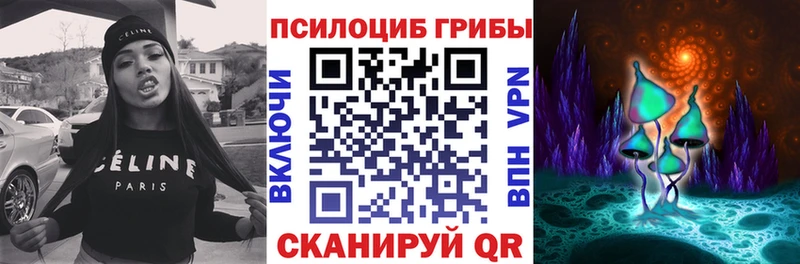 даркнет Telegram закладка Уржум Галлюциногенные грибы Cubensis